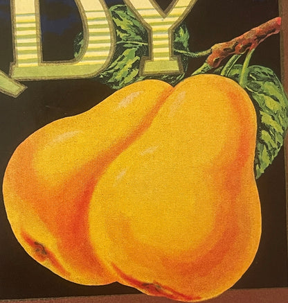 Antique McCurdy Brand Pears Crate Label 🔭 — 1920s-30s Sweetbrier Orchards San Jose California, Lick Observatory Night Art