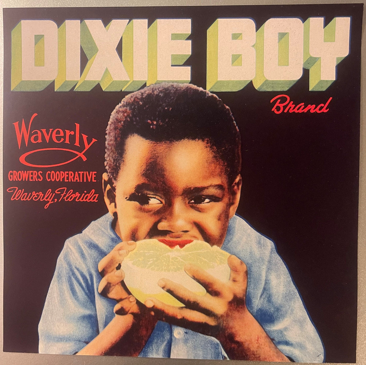Antique Vintage 1930s Dixie Boy Crate Label 🍎 Waverly, FL, Adorable Child!