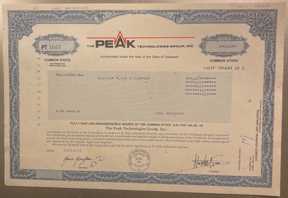 Vintage 1990s Peak Technologies Group Stock Certificate Dot Com Crash Victim Delaware Scripophily 📜