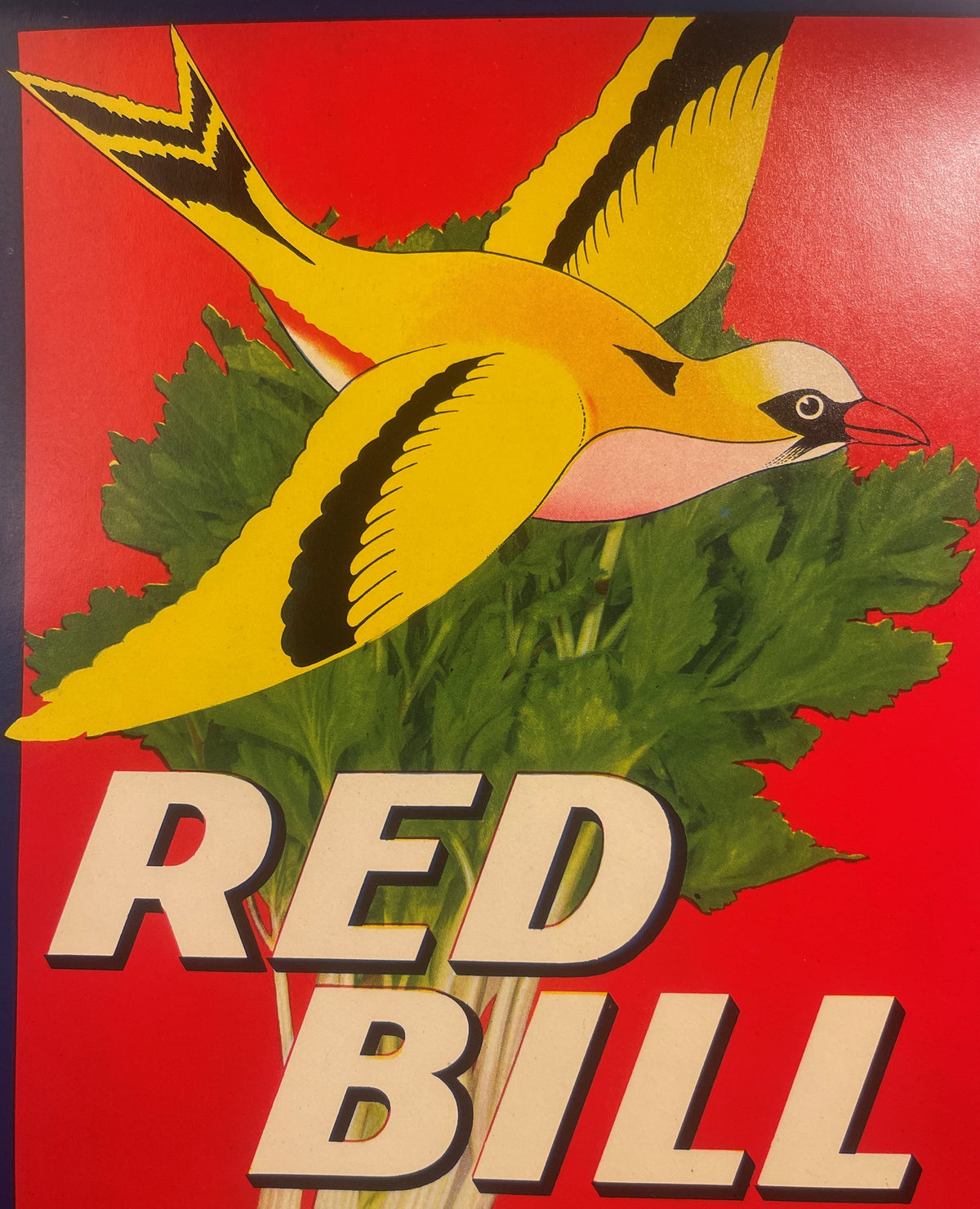 Vintage Red Bill Brand Celery Crate Label 🐦 Harry Becker & Co. Detroit Michigan Lithograph Art