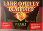 Vintage 1940s Lake County Diamond Crate Label