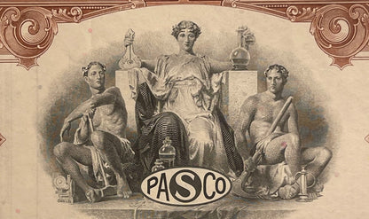 Vintage 1960s Pan American Sulphur Co. Stock Certificate ⛏️ Brown, Delaware PASCO Mexico Mining Share