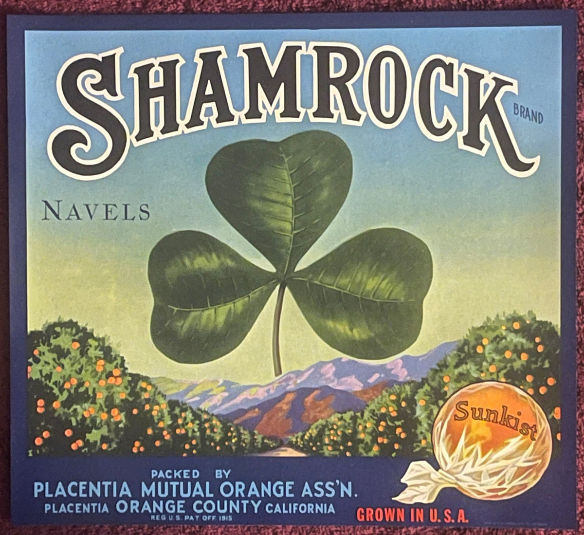 Antique 1930s Shamrock Brand Navel Orange Crate Label — Placentia Mutual Orange Ass'n, Sunkist Wrap Art