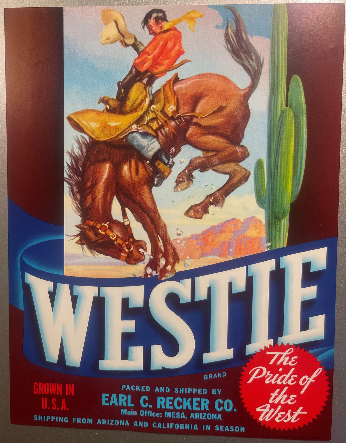 Vintage 1950s Westie Crate Label 🤠 Bucking Bronco Cowboy Rodeo Art, Mesa AZ