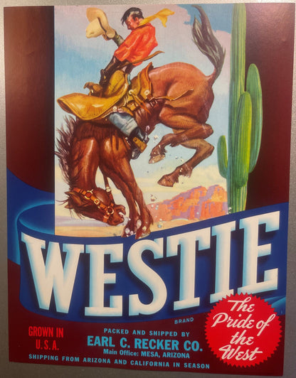 Vintage 1950s Westie Crate Label 🤠 Bucking Bronco Cowboy Rodeo Art, Mesa AZ