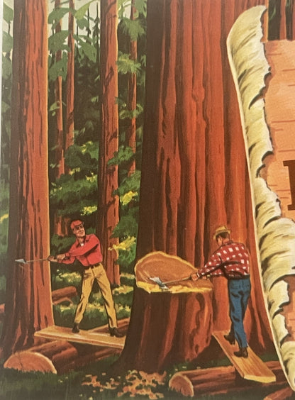 Vintage 1960s Van Camp's Bean Hole Beans Label 🌲 Lumberjack & Canoe North Woods Art NOS 9.5 x 4.5