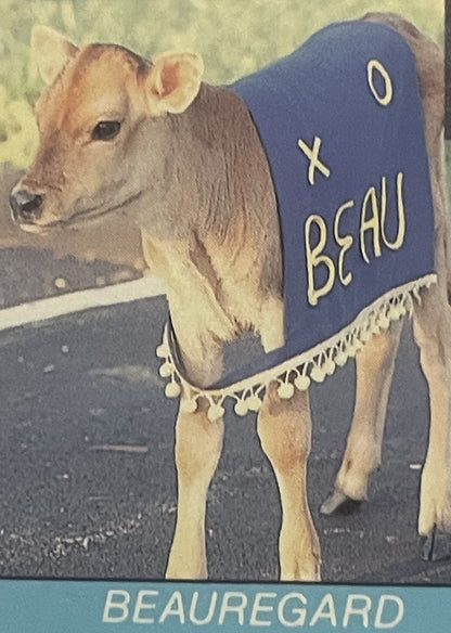Vintage Elsie and Beauregard Borden Cow Postcard 🃏 RIP to Another USA Icon!