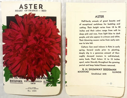 Vintage 1960s R. H. Shumway Aster Seed Packet NOS | Botanical Americana