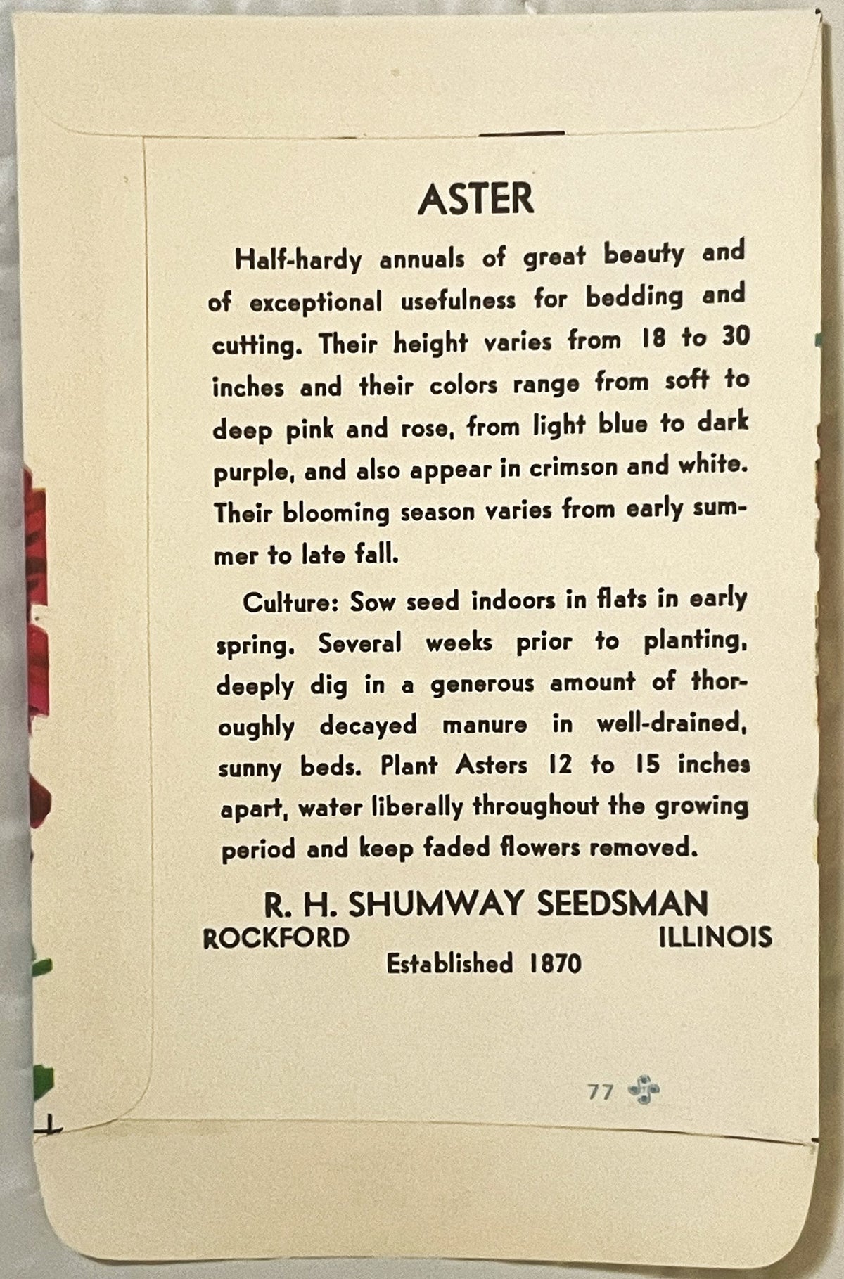 Vintage 1960s R. H. Shumway Aster Seed Packet NOS | Botanical Americana