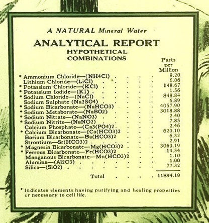 Antique Vintage 1927 Witter Water Label ✨ Quack Americana Cures, Capone Hangout!