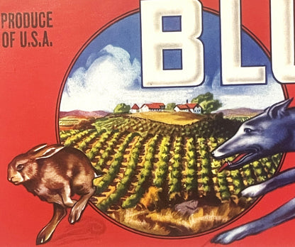 Antique Vintage 1950s Blue Hound Crate Label 🍎 Reedley, CA, Greyhound Dog Racing!