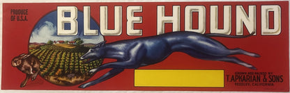 Antique Vintage 1950s Blue Hound Crate Label 🍎 Reedley, CA, Greyhound Dog Racing!