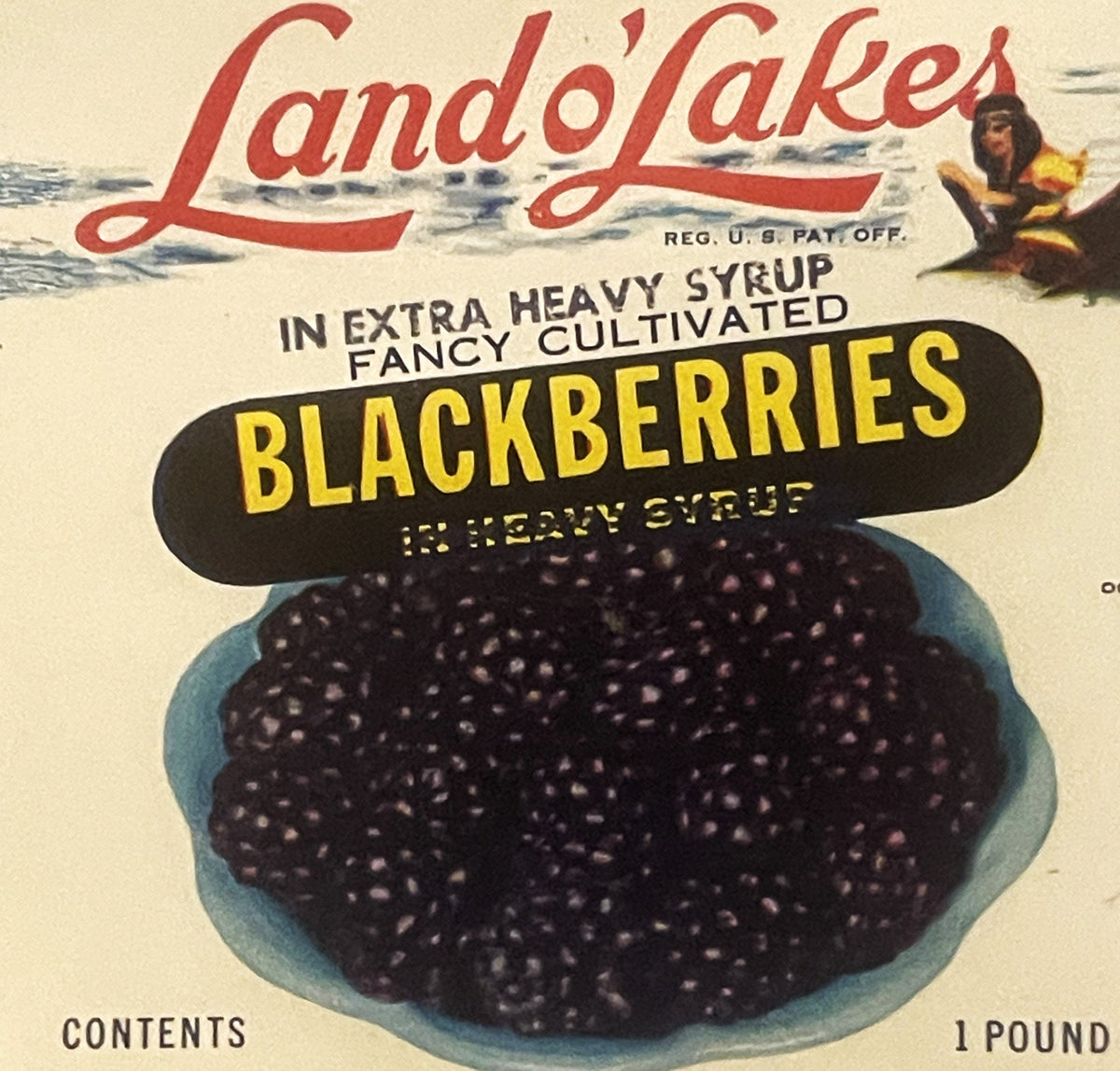 Rare Antique Vintage 1950s Land O' Lakes Can Label ✨ Baltimore MD, RIP Icon Mia!