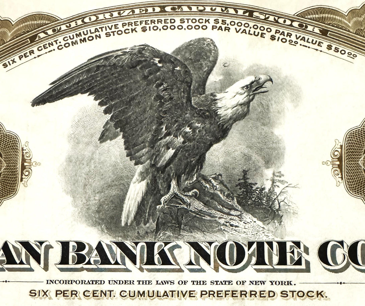 Antique American Bank Note Co 🦅 Preferred Stock Certificate, Brown Eagle Vignette, NYC