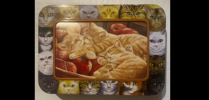 Persis Clayton Weirs Cat Companions Tin 🃏 Tree-Free Greetings 2004 Photo Frame Keepsake, New Hampshire Kenaf Paper Cat Note Card Caddy