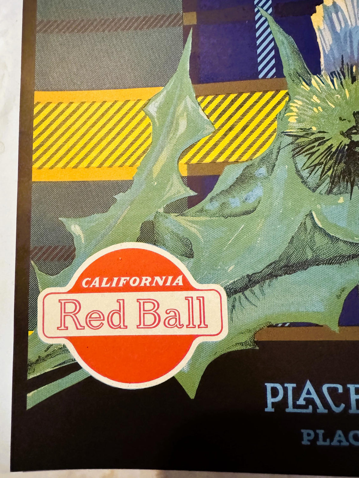 Antique 1930s Caledonia Brand Valencias Orange Crate Label — Placentia Mutual Orange Ass'n, CA