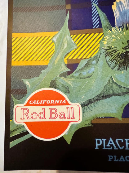 Antique 1930s Caledonia Brand Valencias Orange Crate Label — Placentia Mutual Orange Ass'n, CA