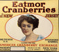Antique Vintage 1920s Jersey Belle Eatmor Cranberries Barrel Label, NY, NJ, CHI ✨