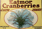 Rare Antique Vintage 1920s Heather Eatmor Cranberries Barrel Label, NY, NJ, CHI ✨