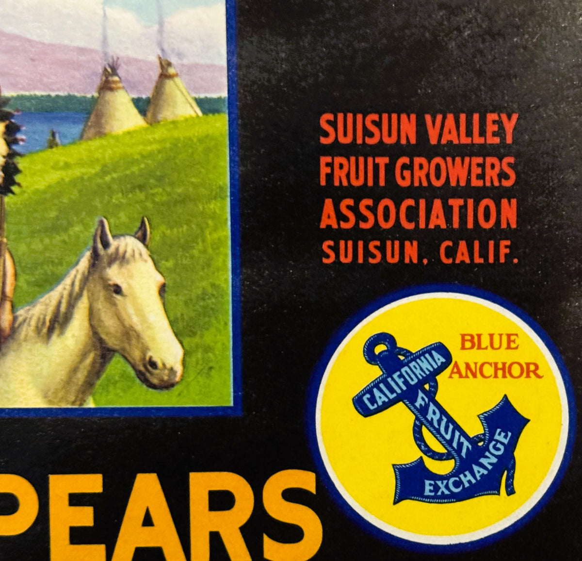 Vintage Rancheria Bartlett Pears Crate Label Native American Teepee Scene Suisun Valley Blue Anchor California Fruit Exchange 🍎