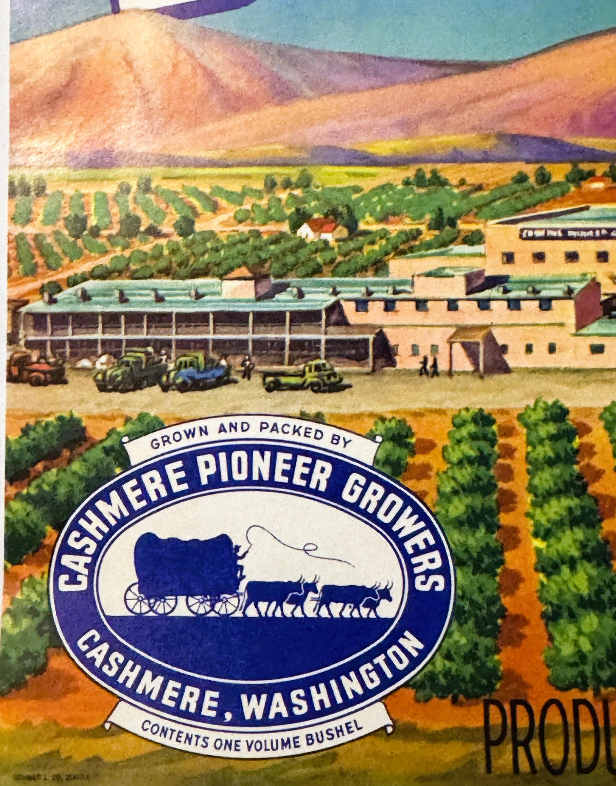 Vintage 1950s Empire Builder Apples Crate Label 🍎 Cashmere, WA, Unique Americana!