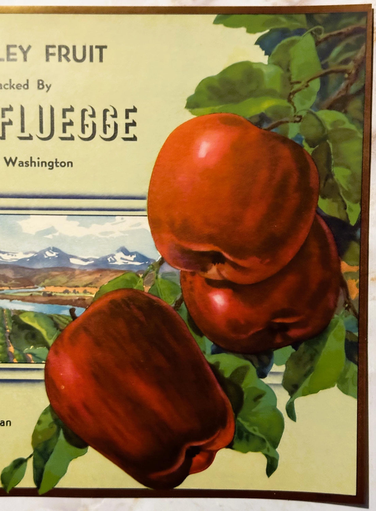 Vintage 1940s Yakima Valley Fruit Crate Label — Grown and Packed By Herman Fluegge, Route 4 Yakima WA