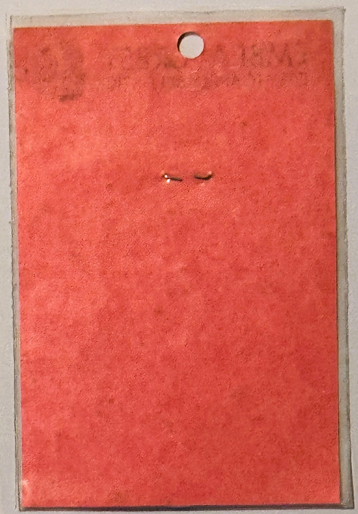 Rare Vintage 1960s United States Army Decal ✨ Embla Crest, Walterboro, SC