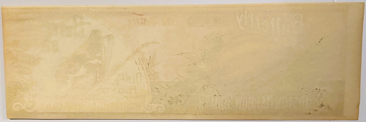 Antique 1890s Butterfly Boston Squash Can Label ✨ Westernville, Oneida County, NY