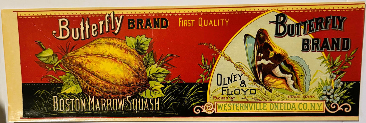 Antique 1890s Butterfly Boston Squash Can Label ✨ Westernville, Oneida County, NY