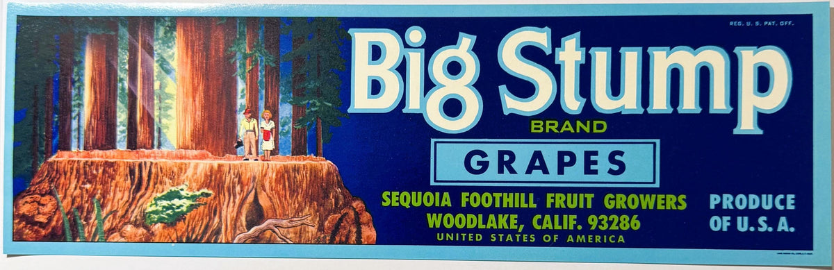 Vintage 1970s Big Stump Grapes Crate Label 🍎 Woodlake, CA, American Icon RIP 1982