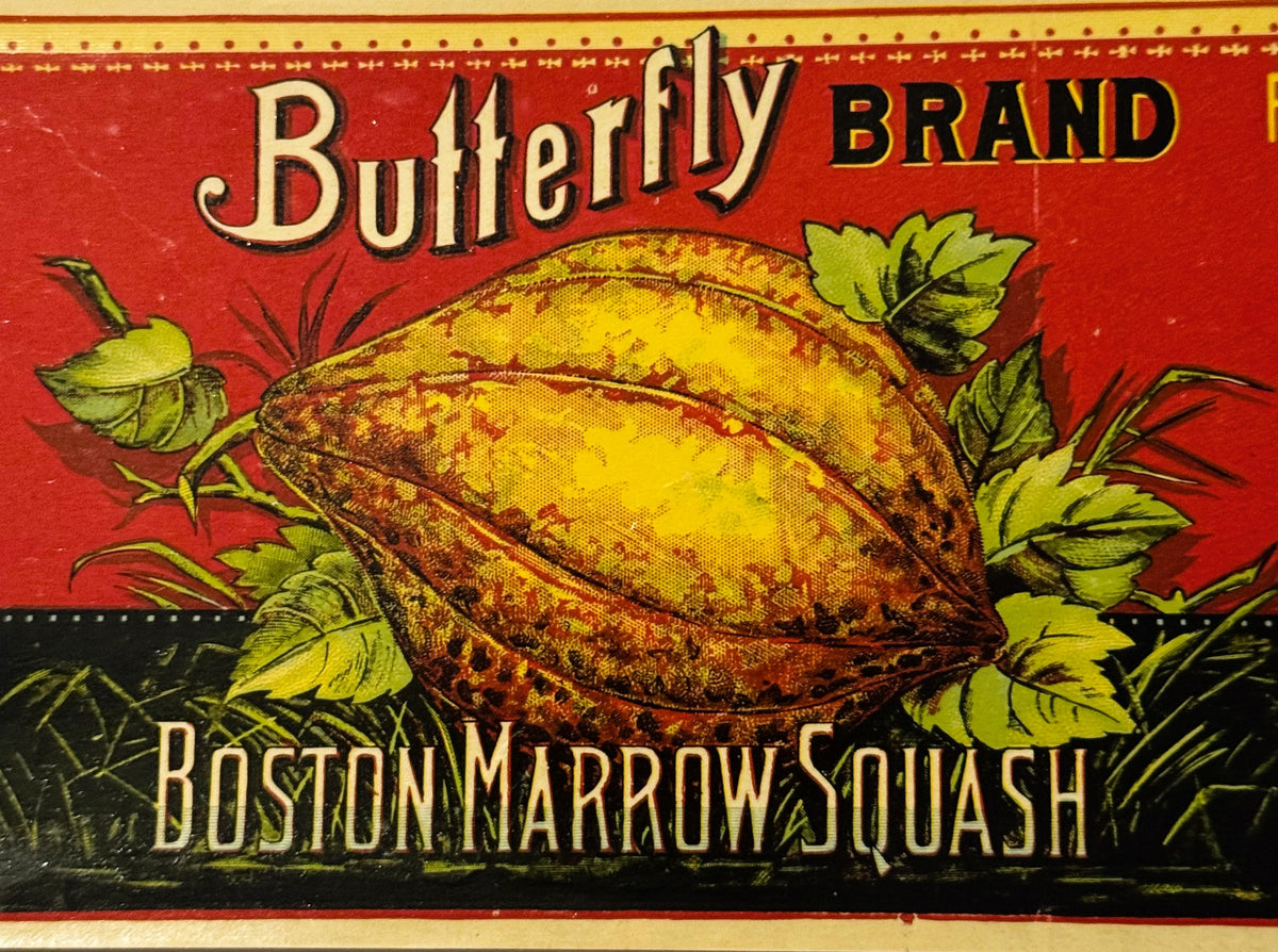 Antique 1890s Butterfly Boston Squash Can Label ✨ Westernville, Oneida County, NY