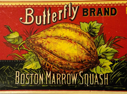 Antique 1890s Butterfly Boston Squash Can Label ✨ Westernville, Oneida County, NY