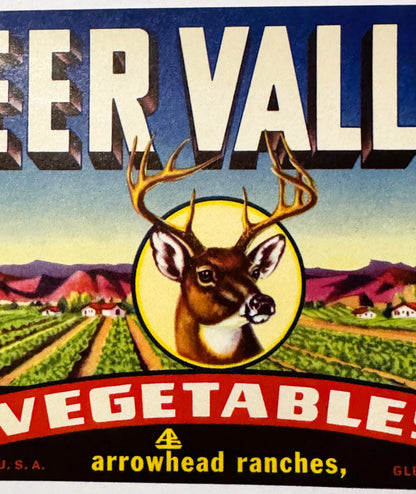 Vintage 1950s Deer Valley Crate Label 🍎 Glendale, AZ, Neat History Mafia Farmers?