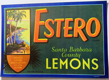 Vintage 1950s Estero Lemons Crate Label from Santa Barbara County