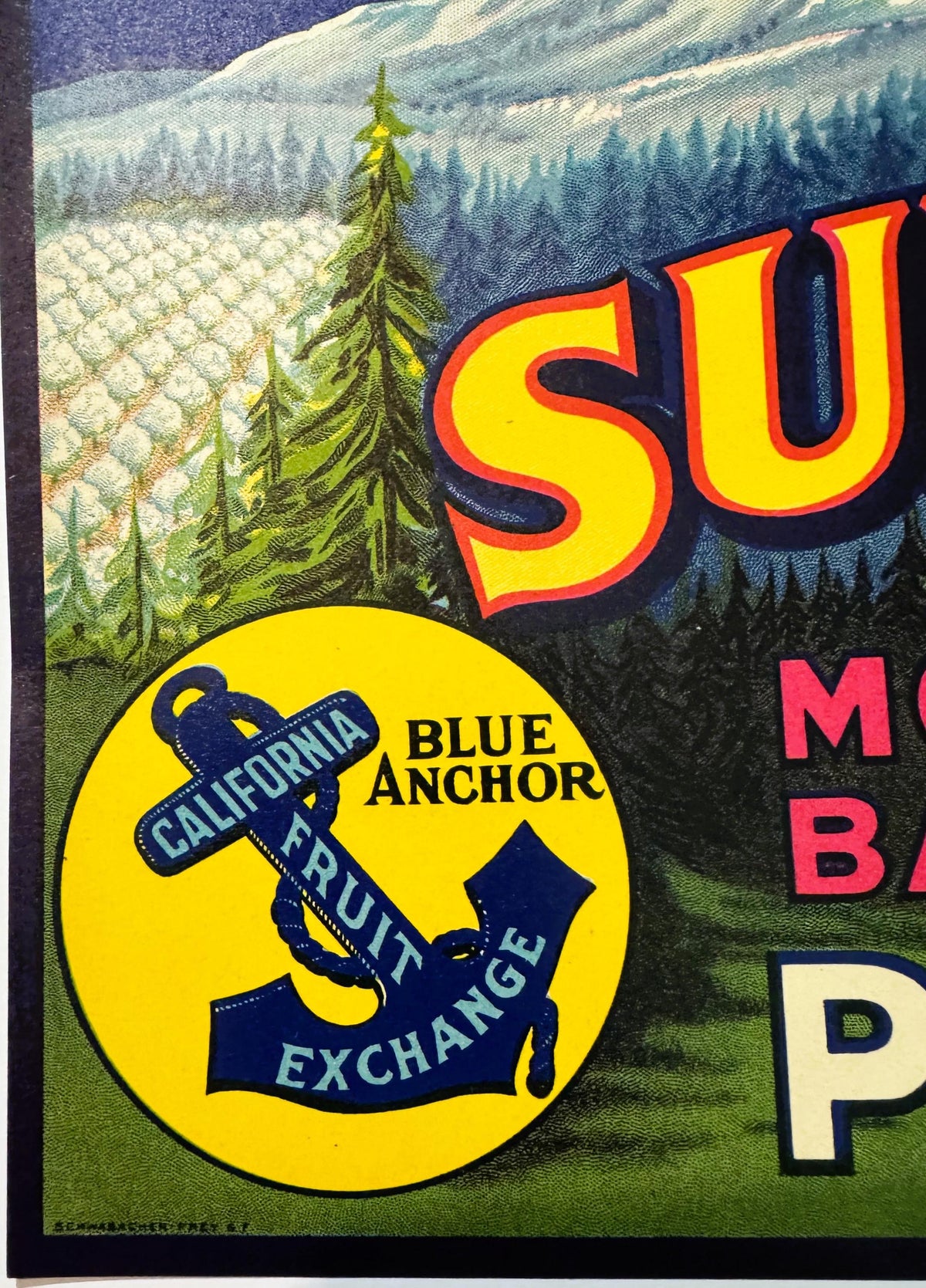Antique Vintage 1930s Summit Mountain Apples Crate Label 🍎 Colfax, CA, Snow Pack!