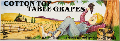 Vintage 1980s Cotton Top Table Grapes Crate Label from Tulare, California