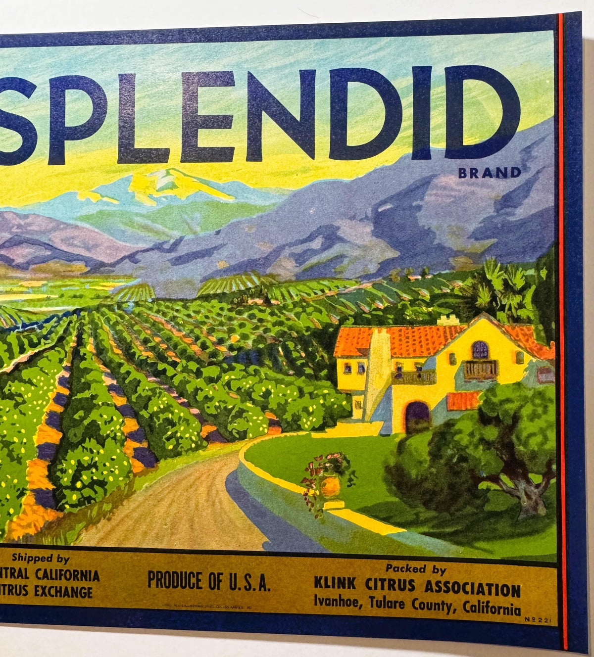 Vintage 1950s Splendid Lemons Crate Label from Ivanhoe, California