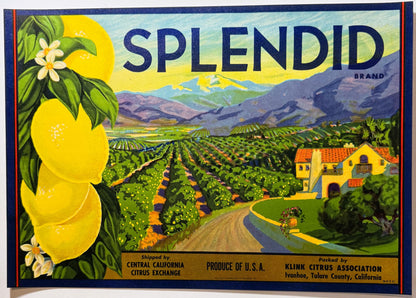 Vintage 1950s Splendid Lemons Crate Label from Ivanhoe, California