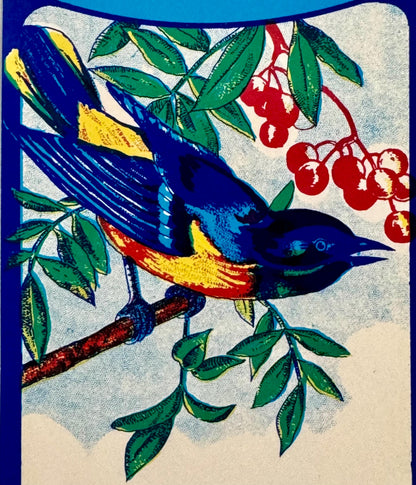 Antique Bluebird Broom Label 🐦 NOS Blank Panel Commercial Lithography Art Nouveau 1910s–40s