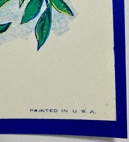 Antique Bluebird Broom Label 🐦 NOS Blank Panel Commercial Lithography Art Nouveau 1910s–40s