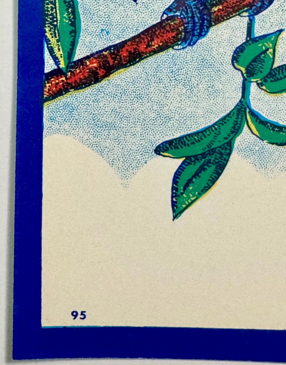 Antique Bluebird Broom Label 🐦 NOS Blank Panel Commercial Lithography Art Nouveau 1910s–40s