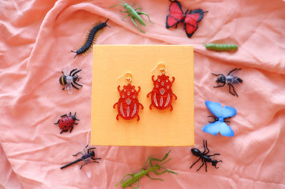 Shimmer Red Beetles