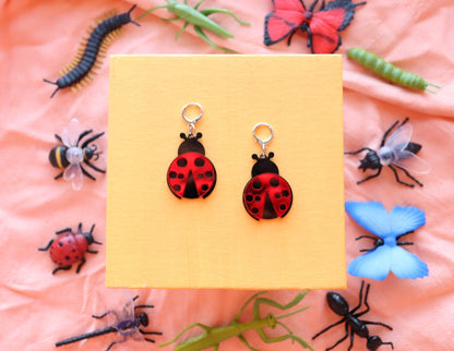 Lil' Lady Bug
