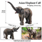 African Elephant Model | Realistic PVC Wildlife Figurine