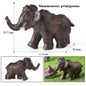 African Elephant Model | Realistic PVC Wildlife Figurine