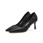 Point Toe Stiletto Pumps