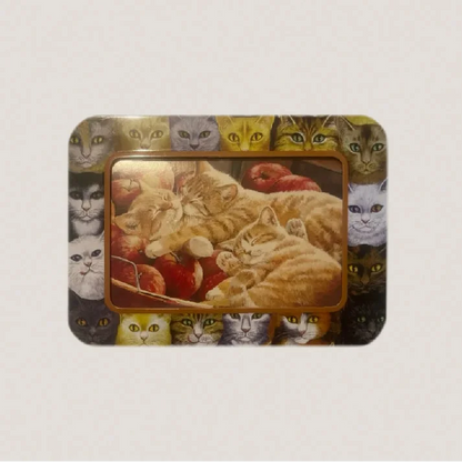Persis Clayton Weirs Cat Companions Tin 🃏 Tree-Free Greetings 2004 Photo Frame Keepsake, New Hampshire Kenaf Paper Cat Note Card Caddy