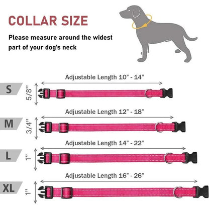 Reflective Nylon Dog Collar | Adjustable Safety Strap for Small and Medium Dogs